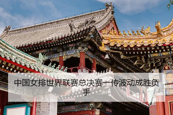 zhong-guo-nv-pai-shi-jie-lian-sai-zong-jue-sai-yi-chuan-bo-dong-cheng-sheng-fu-shou-3-469.jpg
